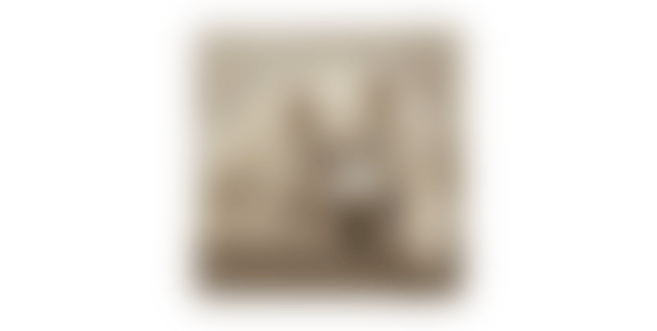 A very blurry image of a vague dog head shape.